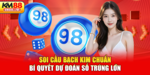 Soi Cầu Bạch Kim Chuẩn - Bí Quyết Dự Đoán Lô Đề Trúng Lớn