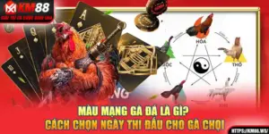 Màu Mạng Gà Đá‍ Là Gì? Cách Chọn Ngày Thi Đấu Cho Gà Chọi