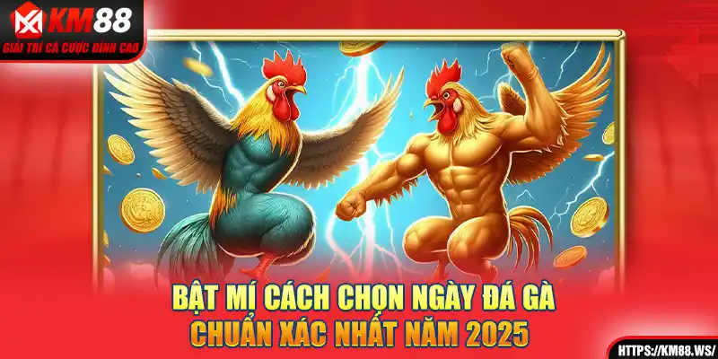 Bật mí cách chọn ngày đá gà chuẩn xác nhất năm 2025