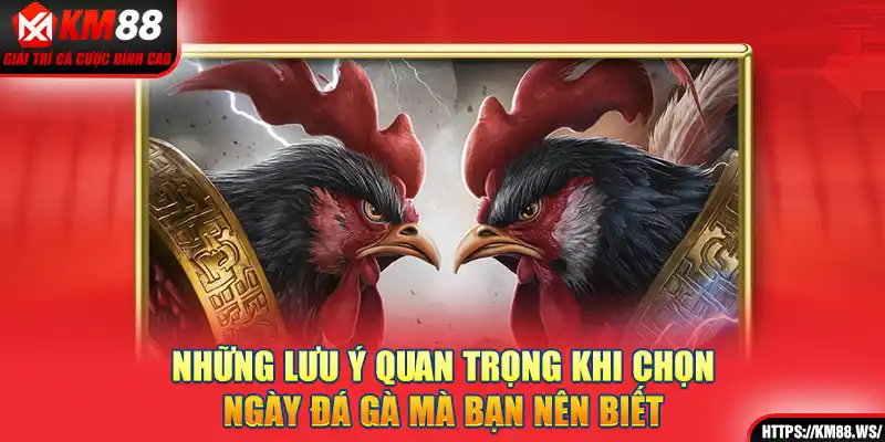 Những lưu ý quan trọng khi chọn ngày đá gà mà bạn nên biết