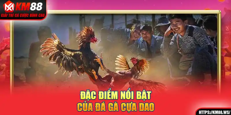 Đặc điểm nổi bật của đá gà cựa dao